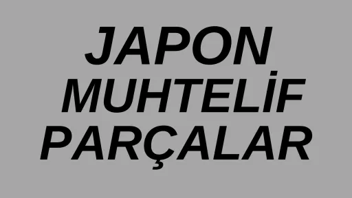 JAPON RACİNG